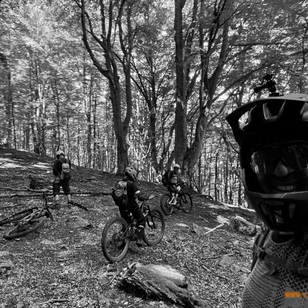 2025_08_03_Contone - Alpe del Tiglio - Via dell'Acqua - Contone