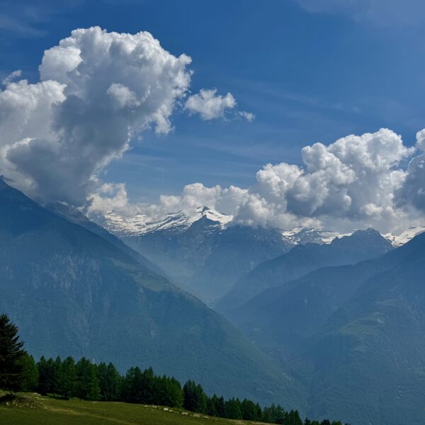 2025_06_01_Pian d'Alpe