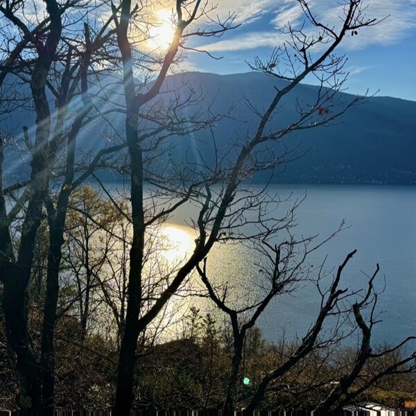 2025_11_23_Losone - Pizzo Leone - Losone