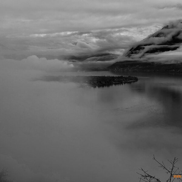 2025_11_01_Giornata Uggiosa... giusta per far 2 passi