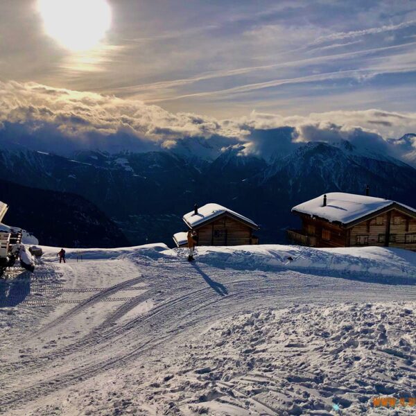 2025_01_18_Bel...Alp....