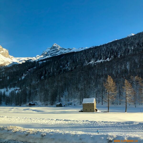 2025_12_27_Rothwald incantato