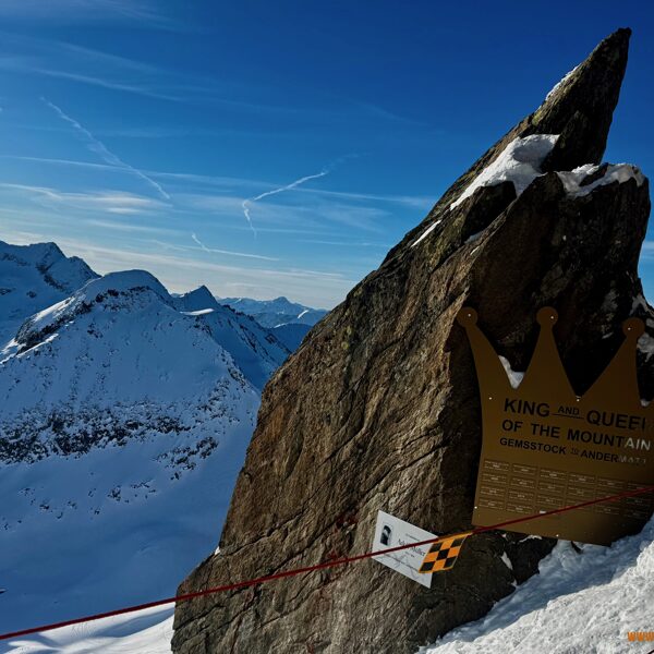 2026_01_22_Gemsstock