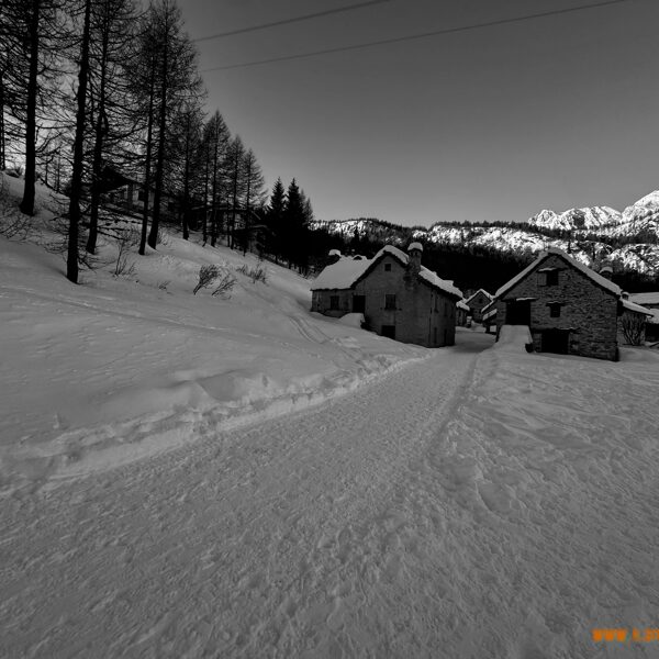 2026_02_01_Deverello