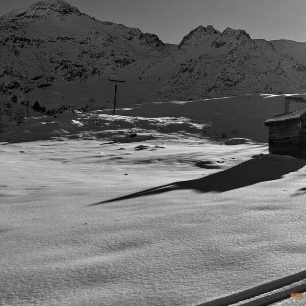 2025_12_14_RTW con i suoi connetti alla riscossa...