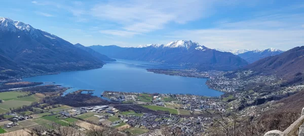 Monti di Ditto - Monti Motti