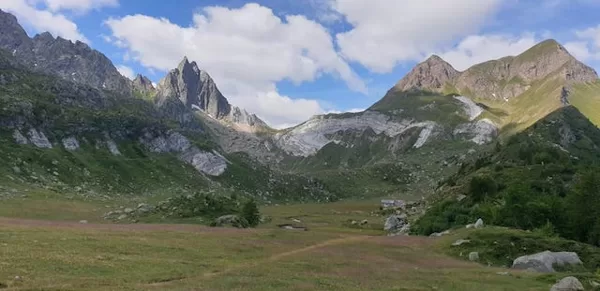 Tremorgio
