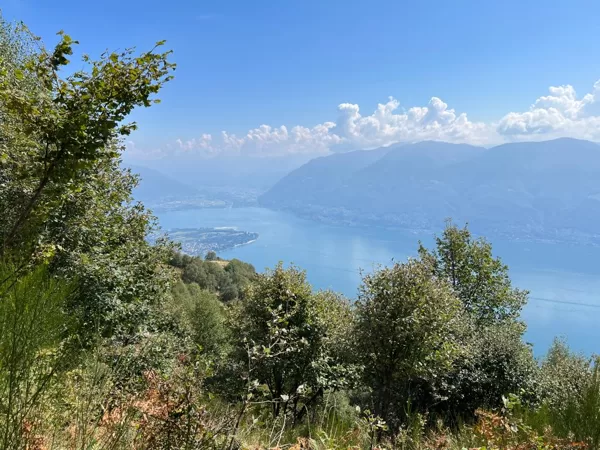 Alpe di Naccio - Bassuno