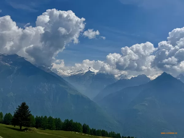 2025_06_01_Pian d'Alpe