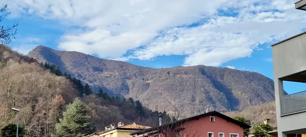 Diversamente Ginestra...