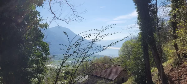 Tanto per smaltire...
