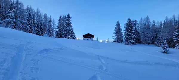 2021_12_12_Rothwald
