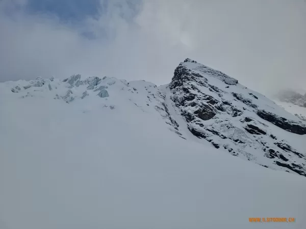 2023_11_13_Anche oggi i contanti li porti domani vero Davide Ardizio?