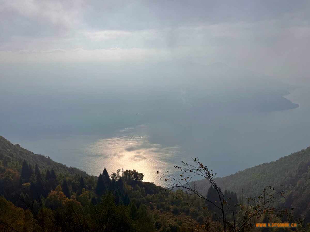 IMG_3095.jpeg